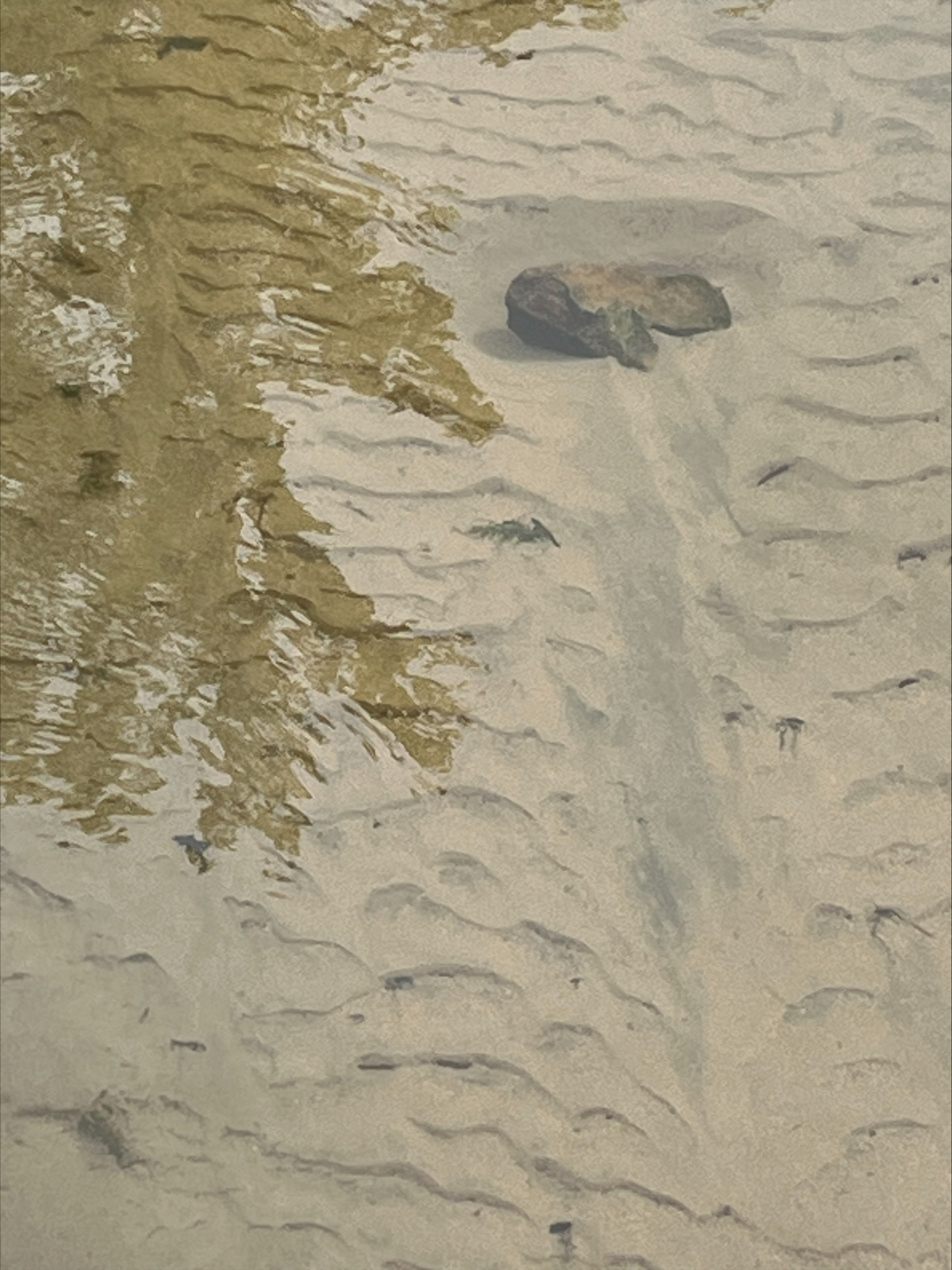 Rippling Reflections of a tree over rippling sand below the water